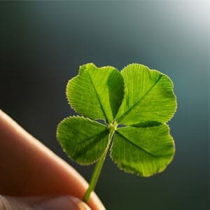 Four Leaf Clover Sustainable Living